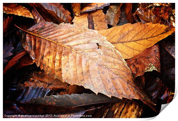 Autumn leaves Print by stephen clarridge