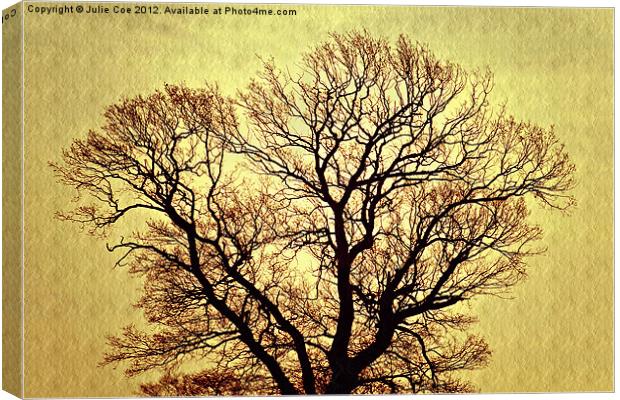Golden Tree Canvas Print by Julie Coe