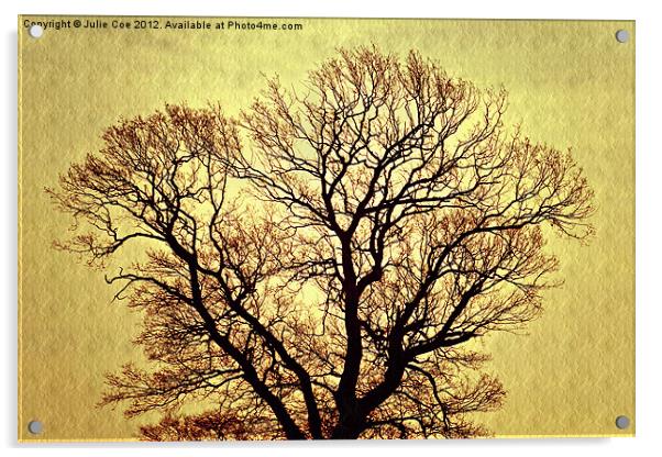 Golden Tree Acrylic by Julie Coe