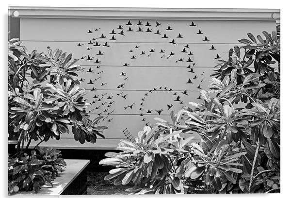 Internal garden pond bird feature Acrylic by Arfabita  
