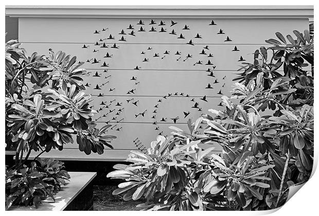 Internal garden pond bird feature Print by Arfabita  