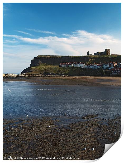 East Cliff Print by Steven Watson