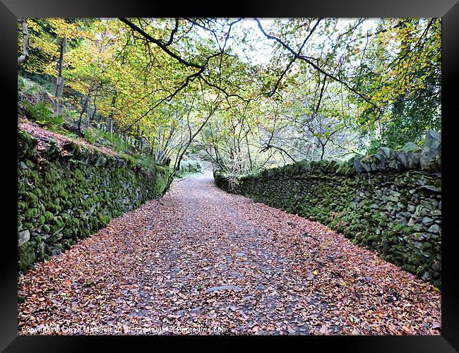 Leafy Lanes. Framed Print by Lilian Marshall