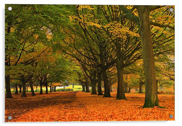 Fall in Richmond Park Acrylic by Janusz Miarka