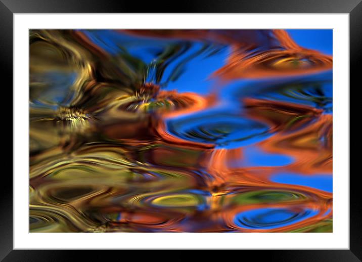 Lily Pond  Framed Mounted Print by Bryan Olesen