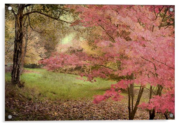 Soft Pink Acrylic by Dawn Cox