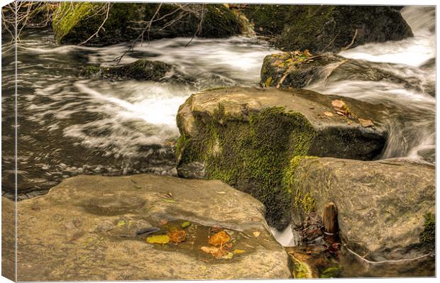 Waterfall in Autumn Canvas Print by Steve Purnell