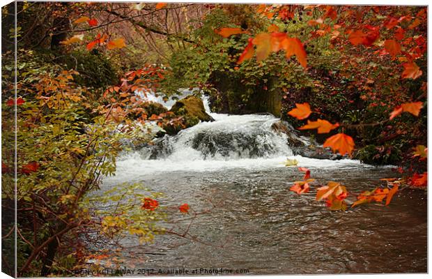 RIVER ITCHEN WATERFALL IN AUTUMN Canvas Print by Anthony Kellaway