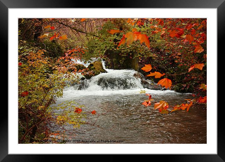RIVER ITCHEN WATERFALL IN AUTUMN Framed Mounted Print by Anthony Kellaway