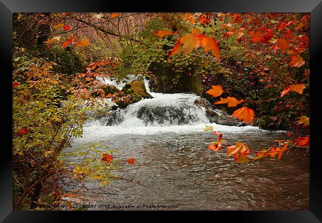 RIVER ITCHEN WATERFALL IN AUTUMN Framed Print by Anthony Kellaway