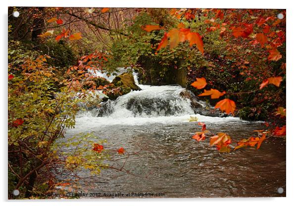 RIVER ITCHEN WATERFALL IN AUTUMN Acrylic by Anthony Kellaway