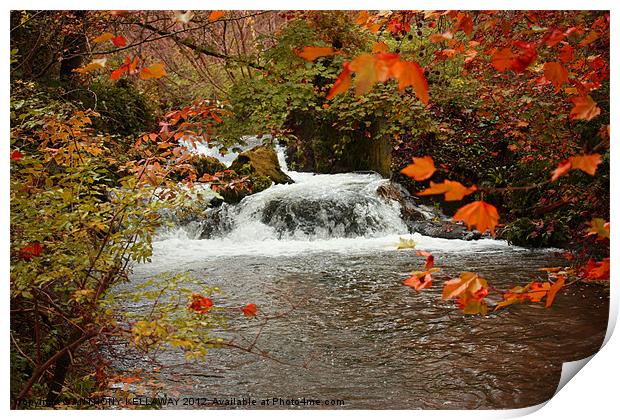 RIVER ITCHEN WATERFALL IN AUTUMN Print by Anthony Kellaway