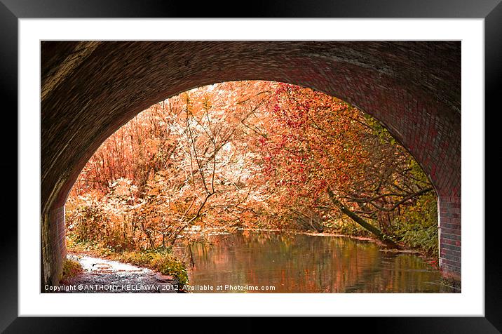 THROUGH THE TUNNEL Framed Mounted Print by Anthony Kellaway