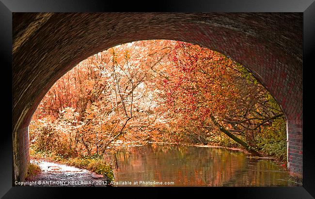 THROUGH THE TUNNEL Framed Print by Anthony Kellaway
