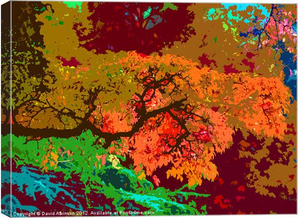 ABSTRACT AUTUMN COLOURS Canvas Print by David Atkinson