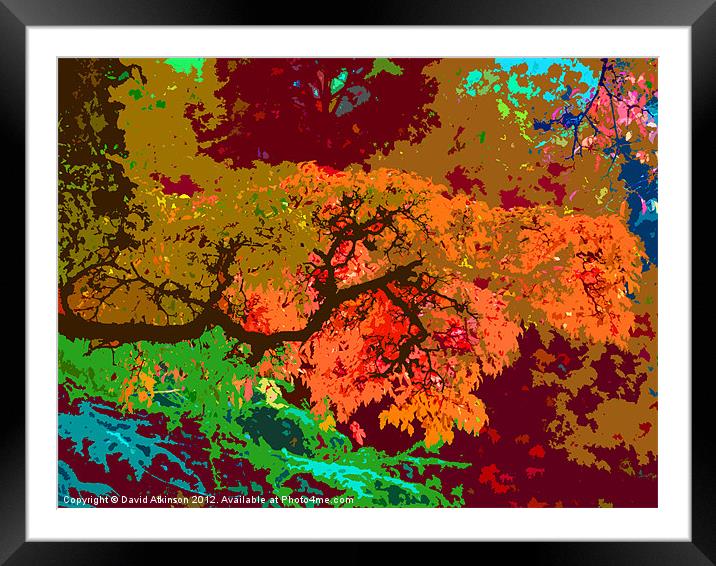 ABSTRACT AUTUMN COLOURS Framed Mounted Print by David Atkinson