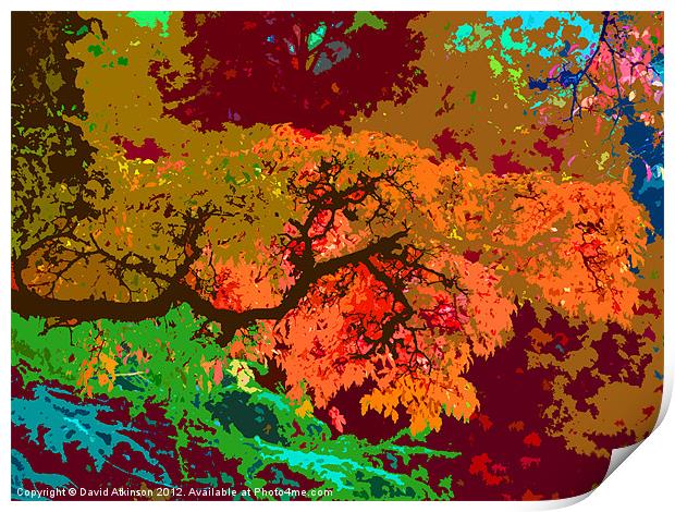 ABSTRACT AUTUMN COLOURS Print by David Atkinson