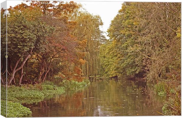 River Itchen in autumn Canvas Print by Anthony Kellaway