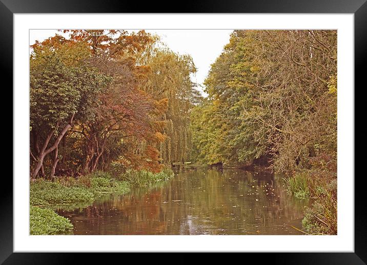 River Itchen in autumn Framed Mounted Print by Anthony Kellaway