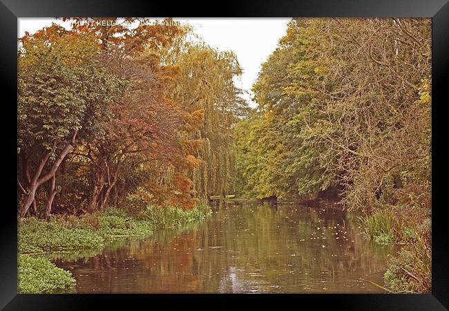 River Itchen in autumn Framed Print by Anthony Kellaway
