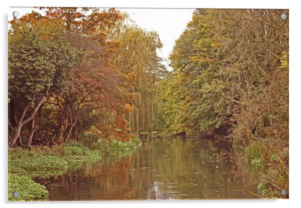 River Itchen in autumn Acrylic by Anthony Kellaway