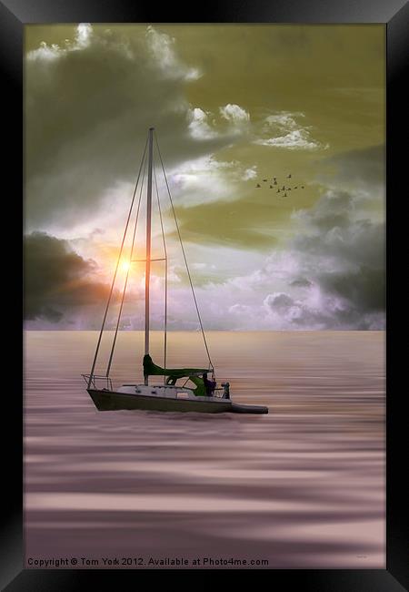 ANCHORED FOR THE NIGHT Framed Print by Tom York