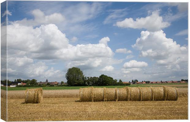 Harvest time in France Canvas Print by Ian Middleton