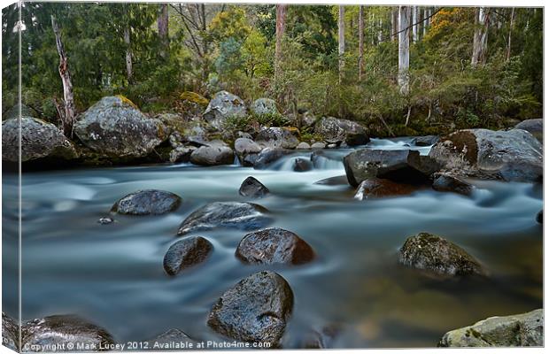 The River Wild Canvas Print by Mark Lucey
