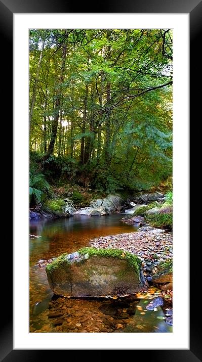 River in Cawdor Big Wood. Framed Mounted Print by Macrae Images