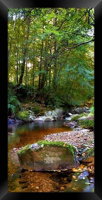 River in Cawdor Big Wood. Framed Print by Macrae Images