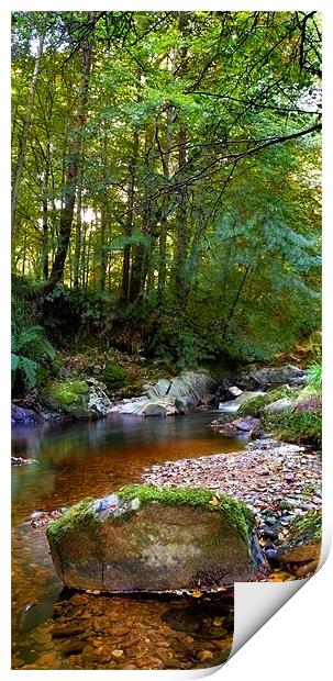 River in Cawdor Big Wood. Print by Macrae Images