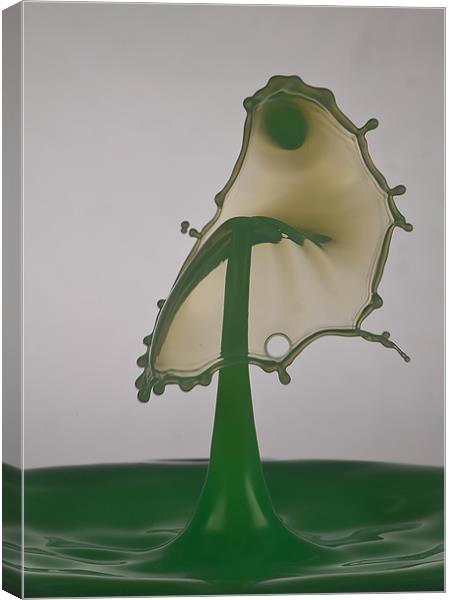 Going green Canvas Print by Carl Floodgate