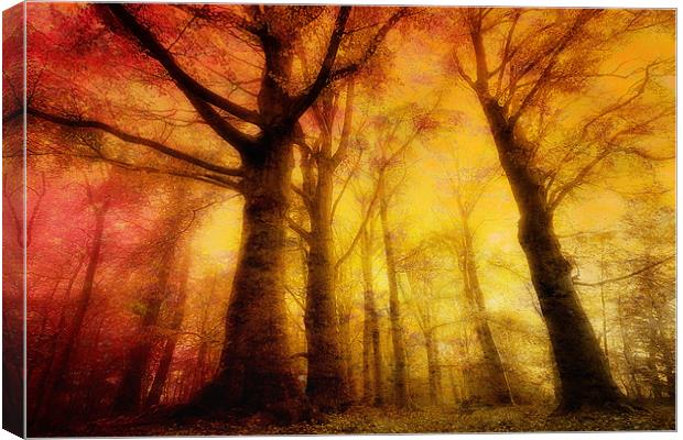 Hart Of The Forest Canvas Print by Chris Manfield