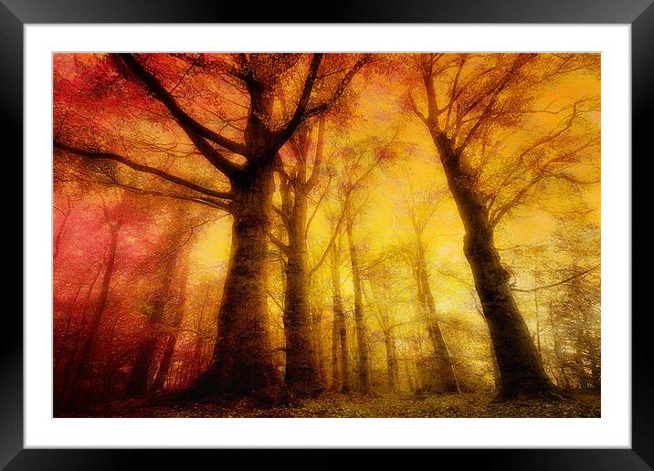 Hart Of The Forest Framed Mounted Print by Chris Manfield