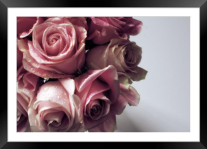 A Bouquet Of Roses Framed Mounted Print by Chris Manfield
