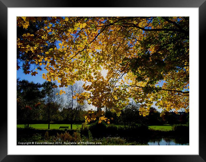 BY THE RIVER IN AUTUMN Framed Mounted Print by David Atkinson