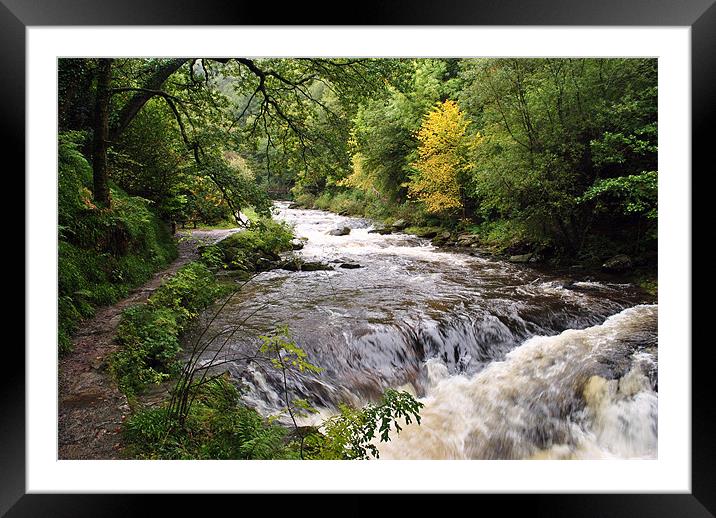 First Hint of Autumn Framed Mounted Print by graham young