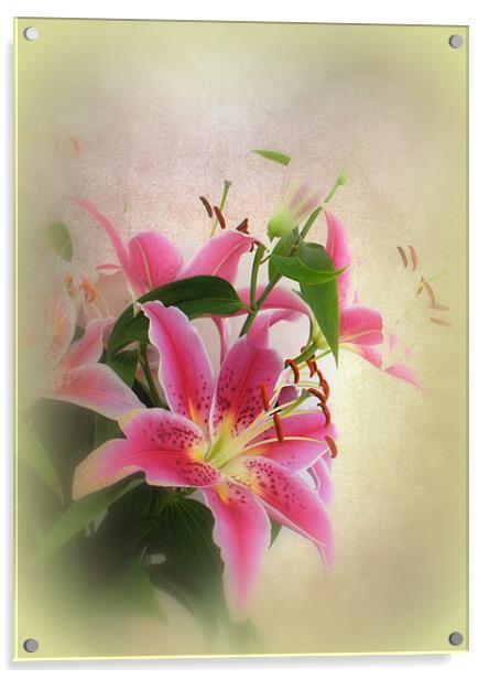 Lovely Lillies. Acrylic by Jacqui Kilcoyne