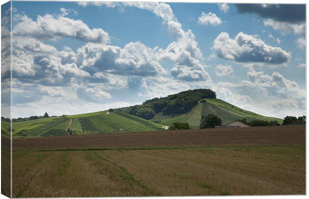 Wine hills of Germany Canvas Print by Ian Middleton