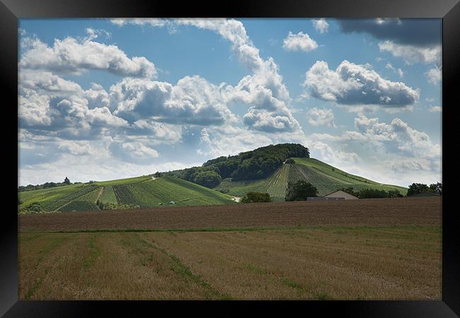 Wine hills of Germany Framed Print by Ian Middleton