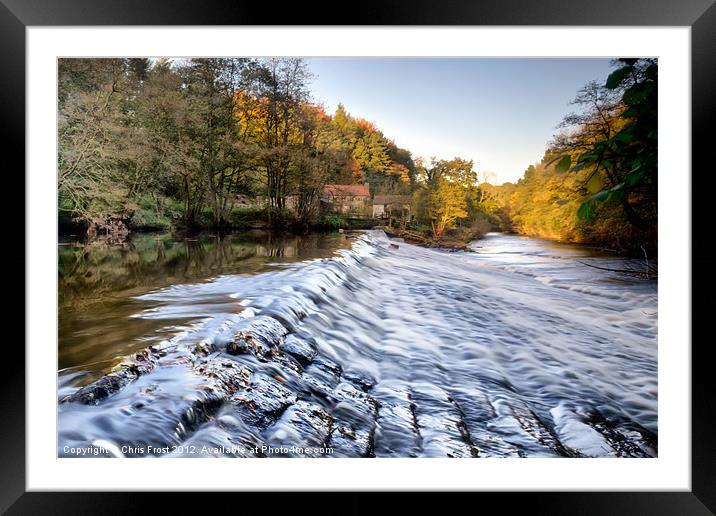 Nidd Gorge Autumn Weir Framed Mounted Print by Chris Frost
