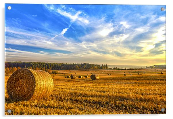 Bales of Hay at Sunset Acrylic by Derek Beattie