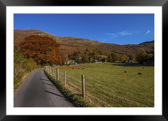 Autumnal Framed Mounted Print by Roger Green