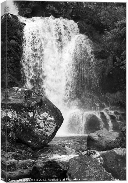 Arklet Falls Canvas Print by les tobin