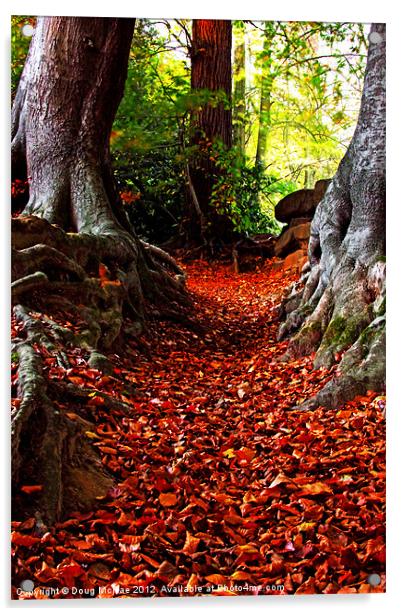 autumn path Acrylic by Doug McRae