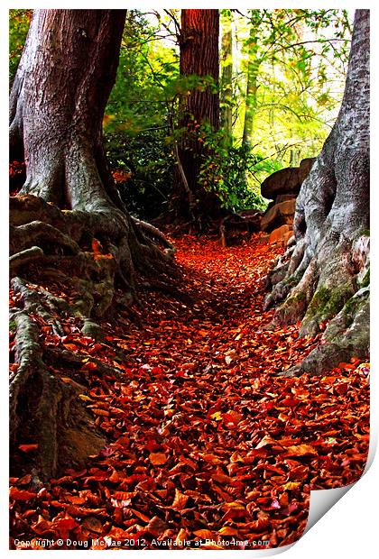 autumn path Print by Doug McRae