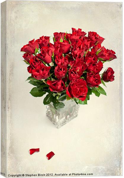 Vase of Red Roses Canvas Print by Stephen Birch