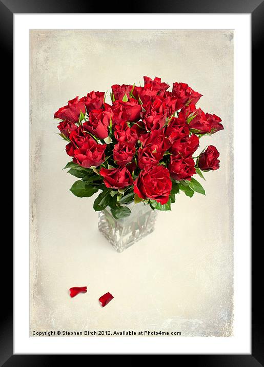 Vase of Red Roses Framed Mounted Print by Stephen Birch