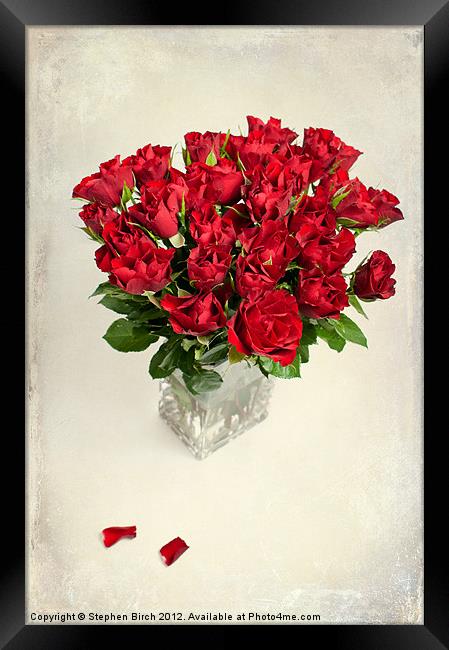 Vase of Red Roses Framed Print by Stephen Birch
