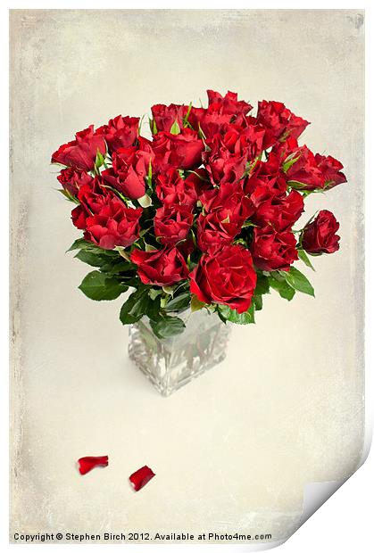 Vase of Red Roses Print by Stephen Birch